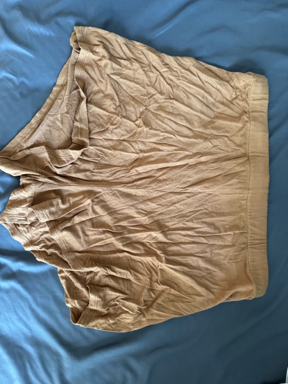 SKIMS Cozy Soft Brown Drawstring Shorts - Picture 2 of 2